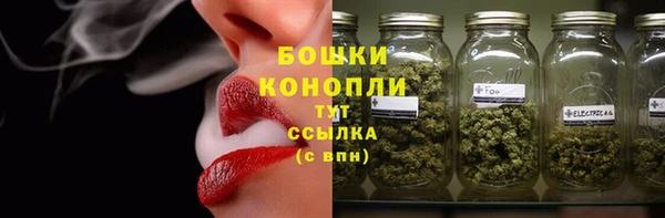 гидра Киренск