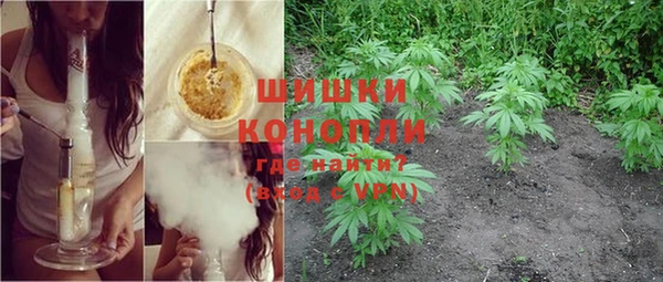 гидропоника Карпинск