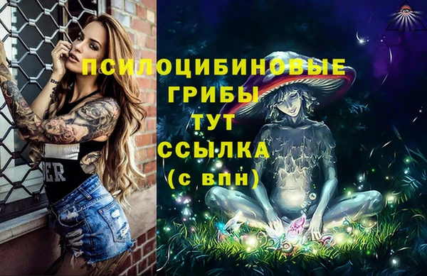 гидропоника Карпинск