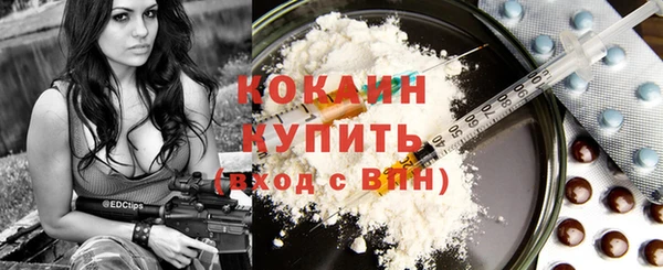 прущие грибы Киреевск