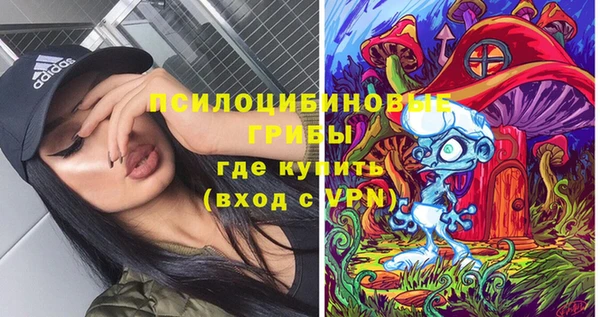 прущие грибы Киреевск