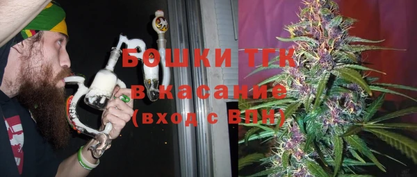 дмт Касимов
