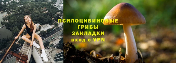 ALPHA PVP Кинешма