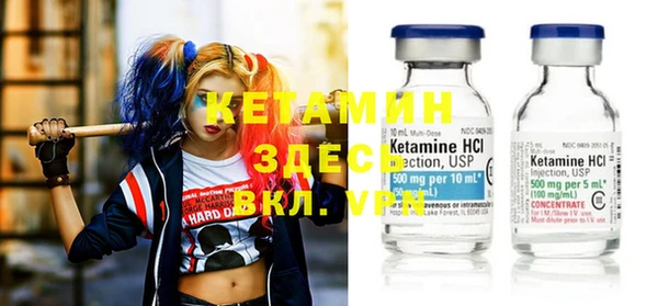 дмт Каменка