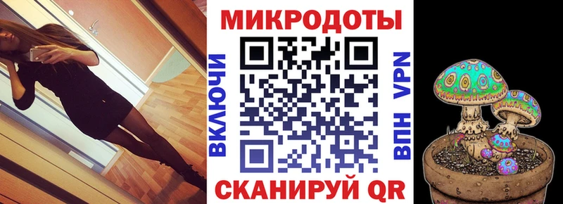 Галлюциногенные грибы Psilocybine cubensis  Ковдор 