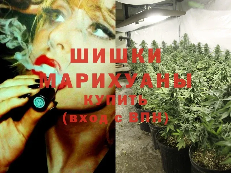 Бошки Шишки White Widow  Ковдор 